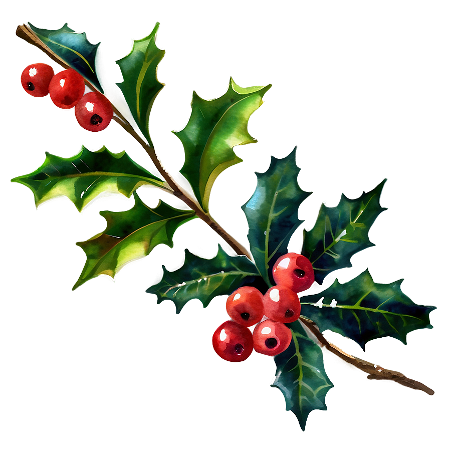 Watercolor Holly Png Ati