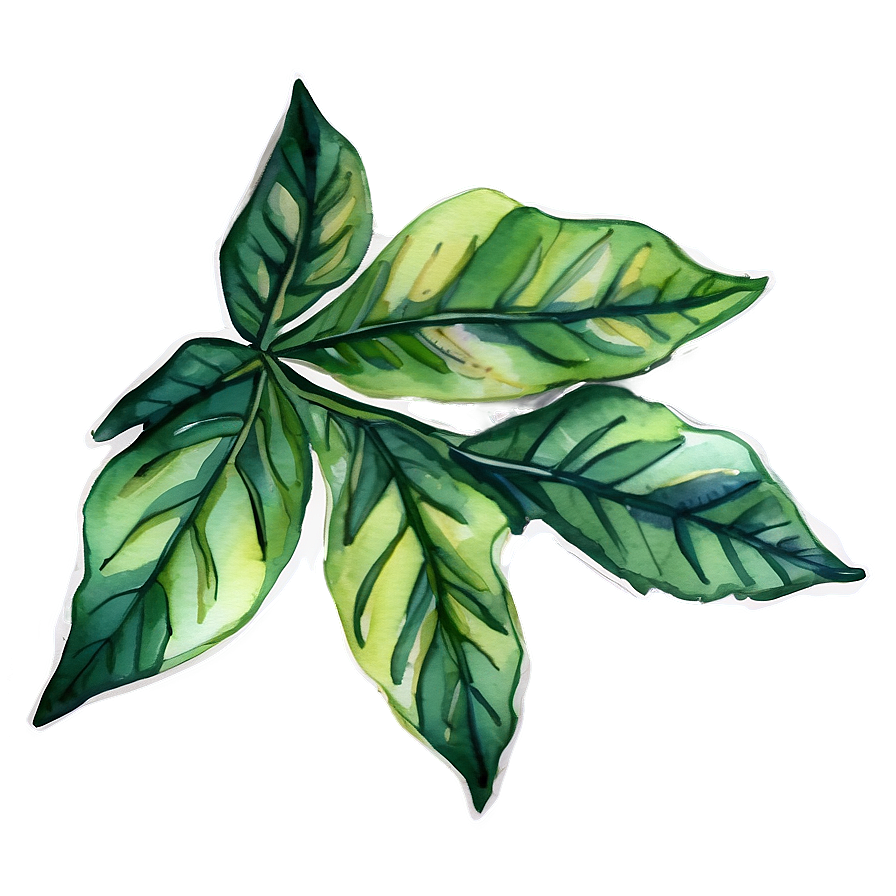 Watercolor Leaf Png Xdb48