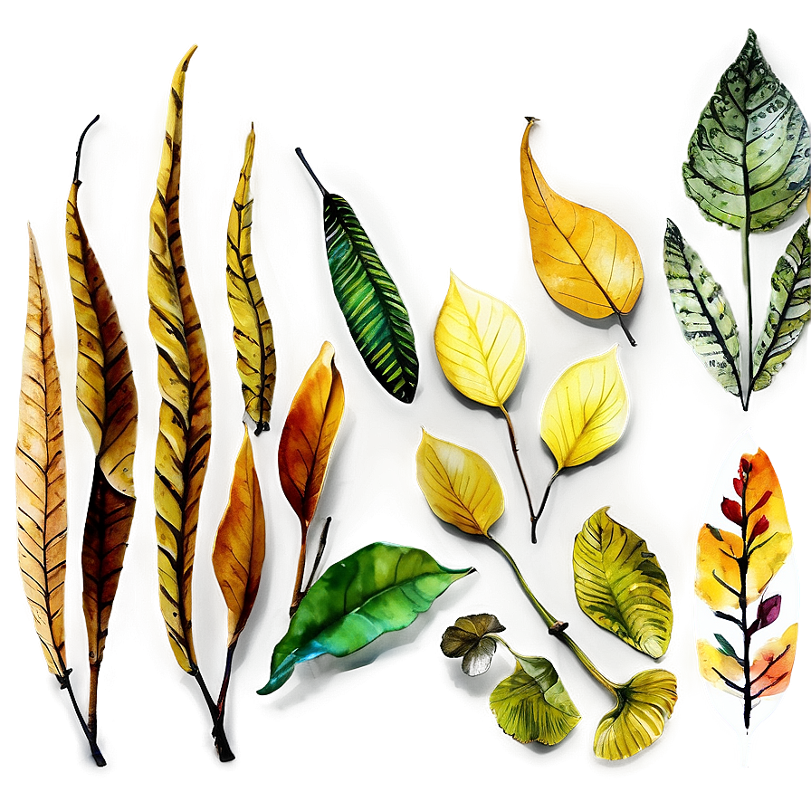 Watercolor Leaves PNG 05042024 PNG with transparent background