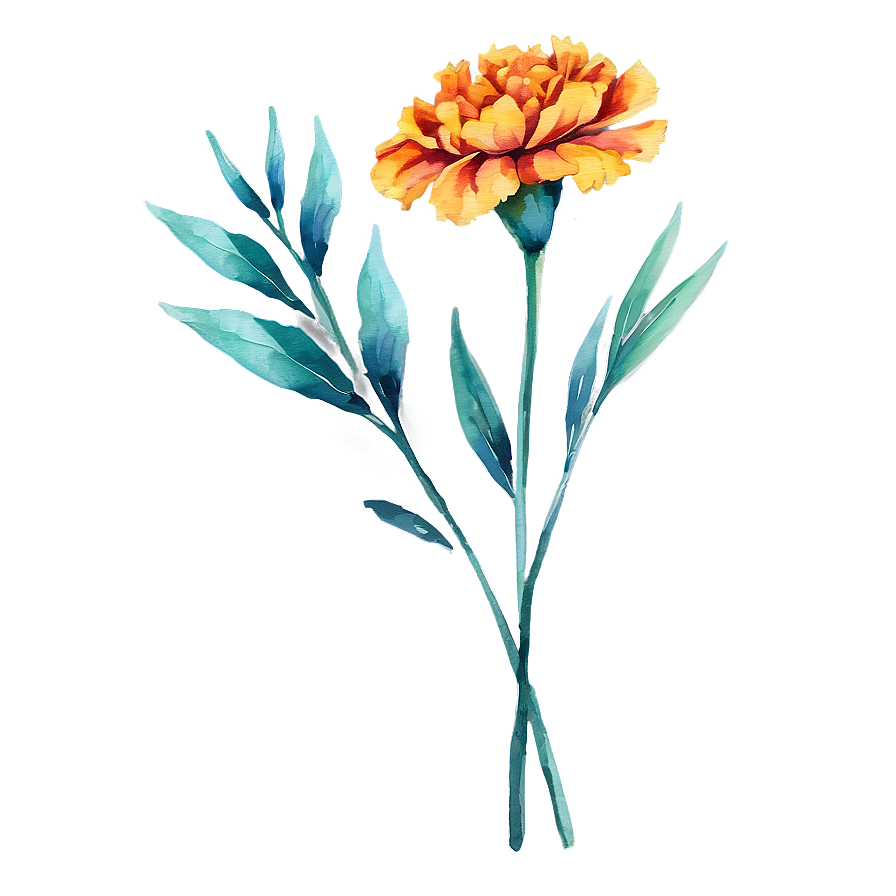 Watercolor Marigold Flowers Png 55