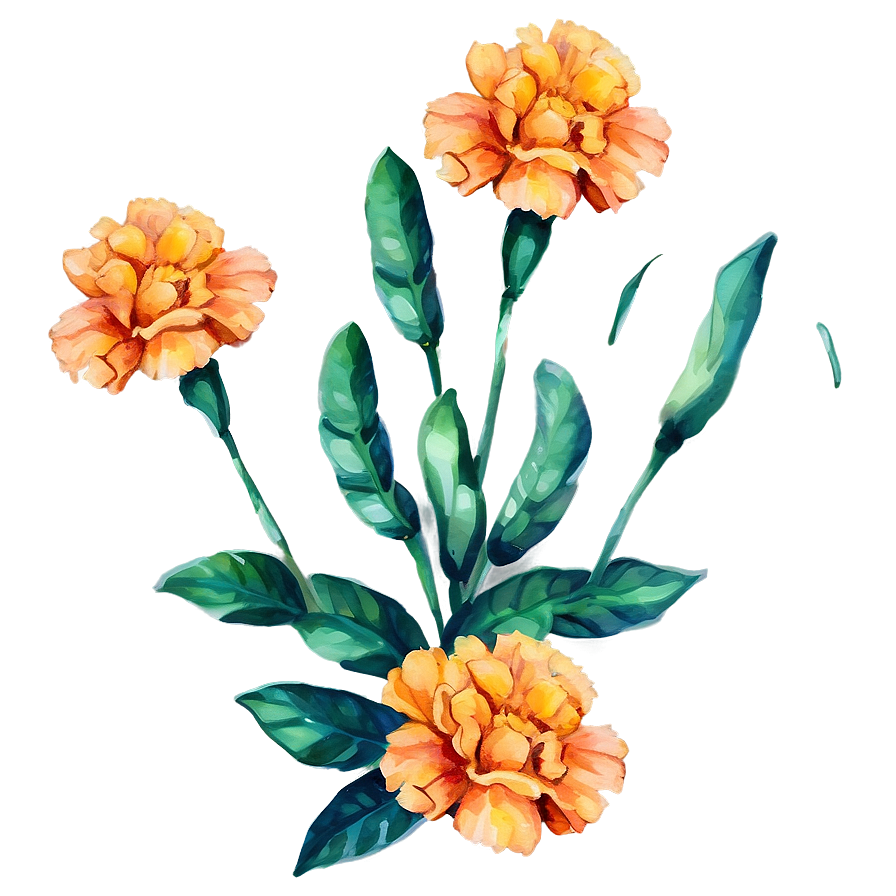 Watercolor Marigolds Art Png 06132024