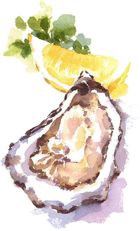 Oysters Watercolor, HD Png Download PNG with transparent background