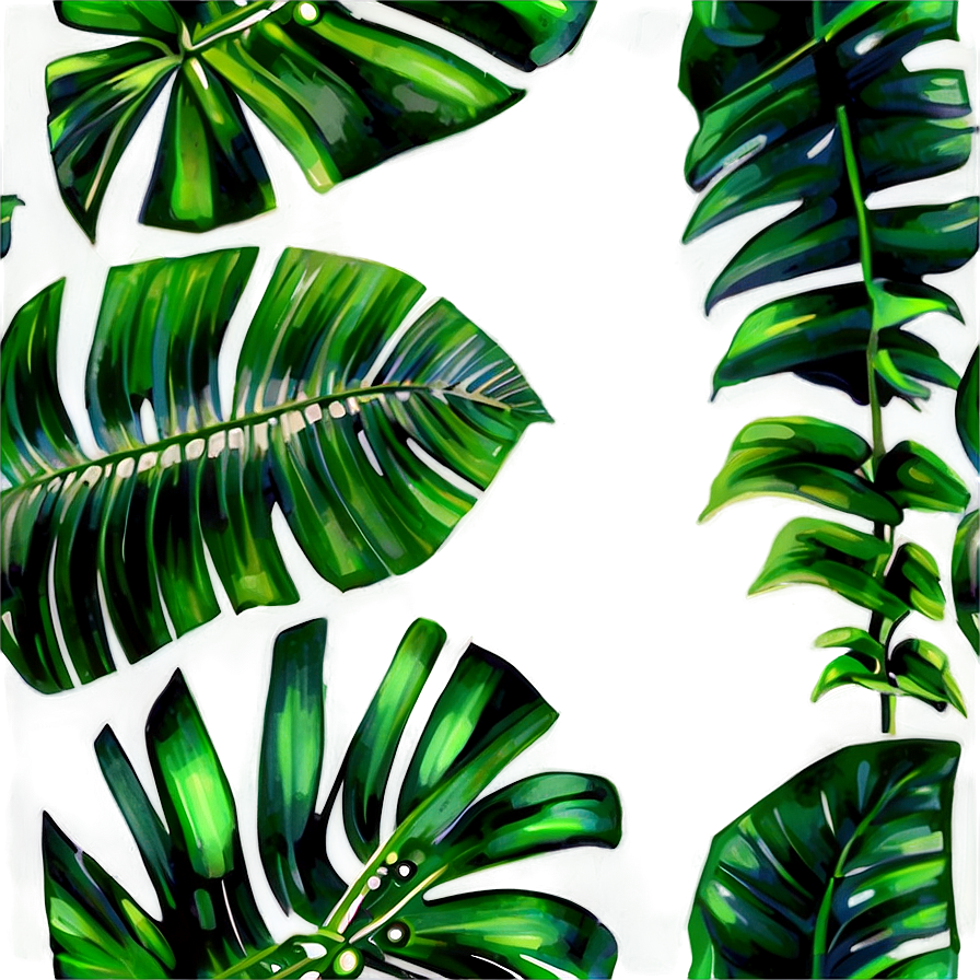 Watercolor Palm Leaves PNG 05252024 PNG with transparent background