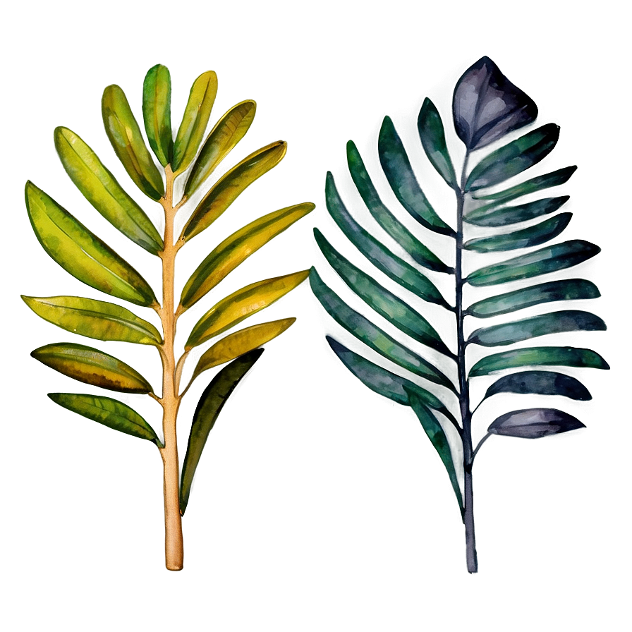 Watercolor Palm Leaves PNG oib PNG with transparent background