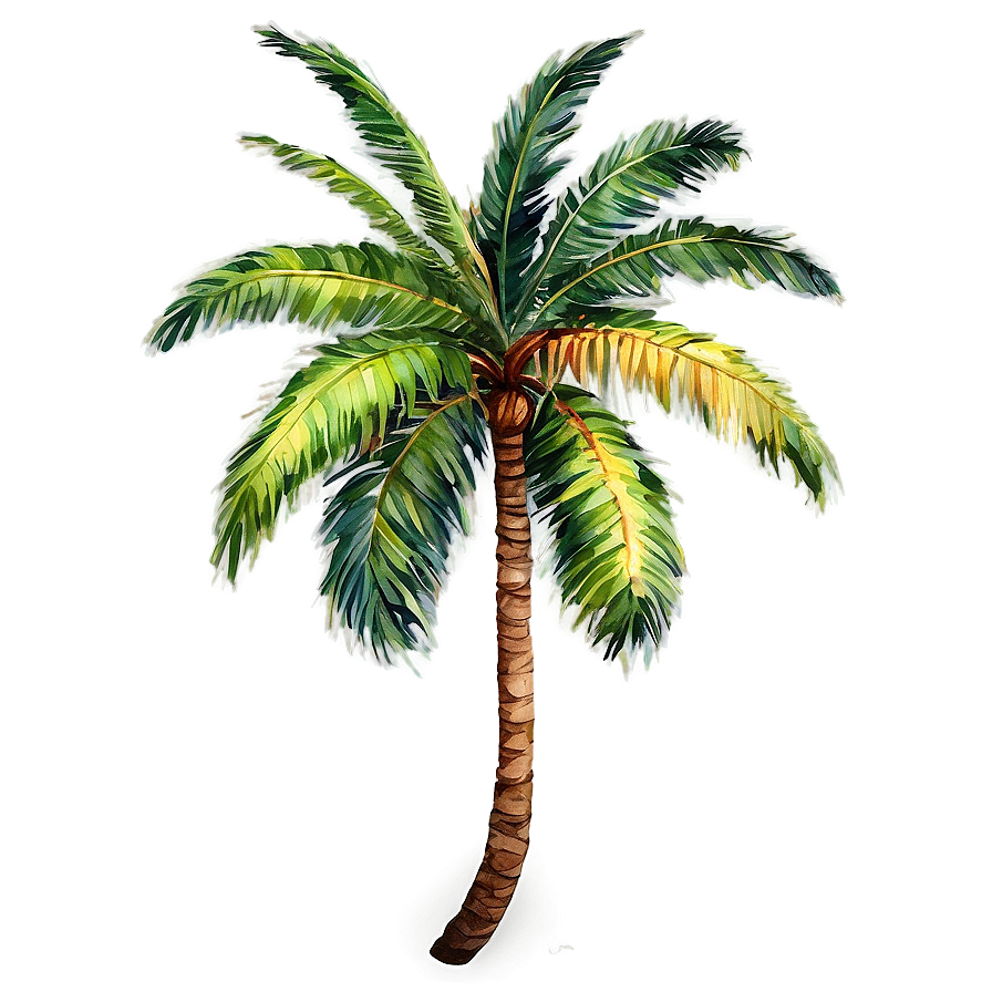 Watercolor Palm Tree PNG frt PNG with transparent background