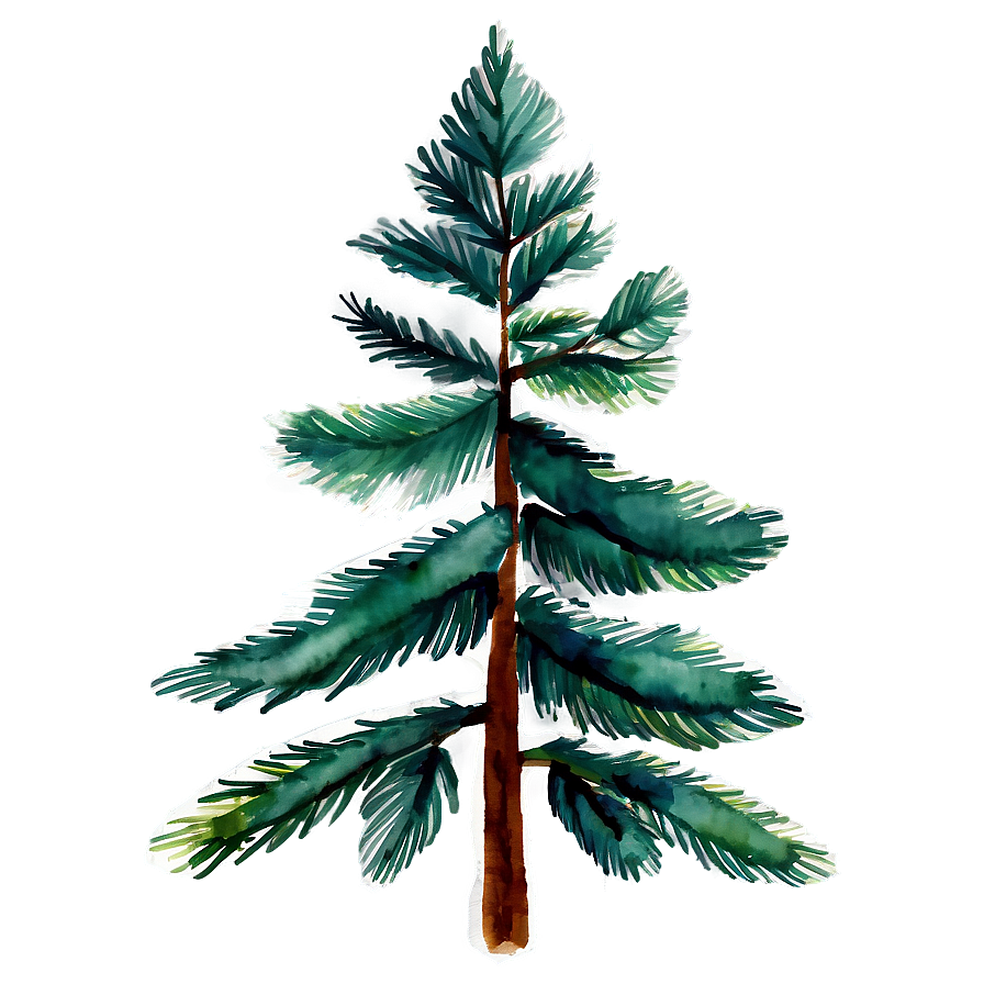 Watercolor Pine Trees Png Njk79