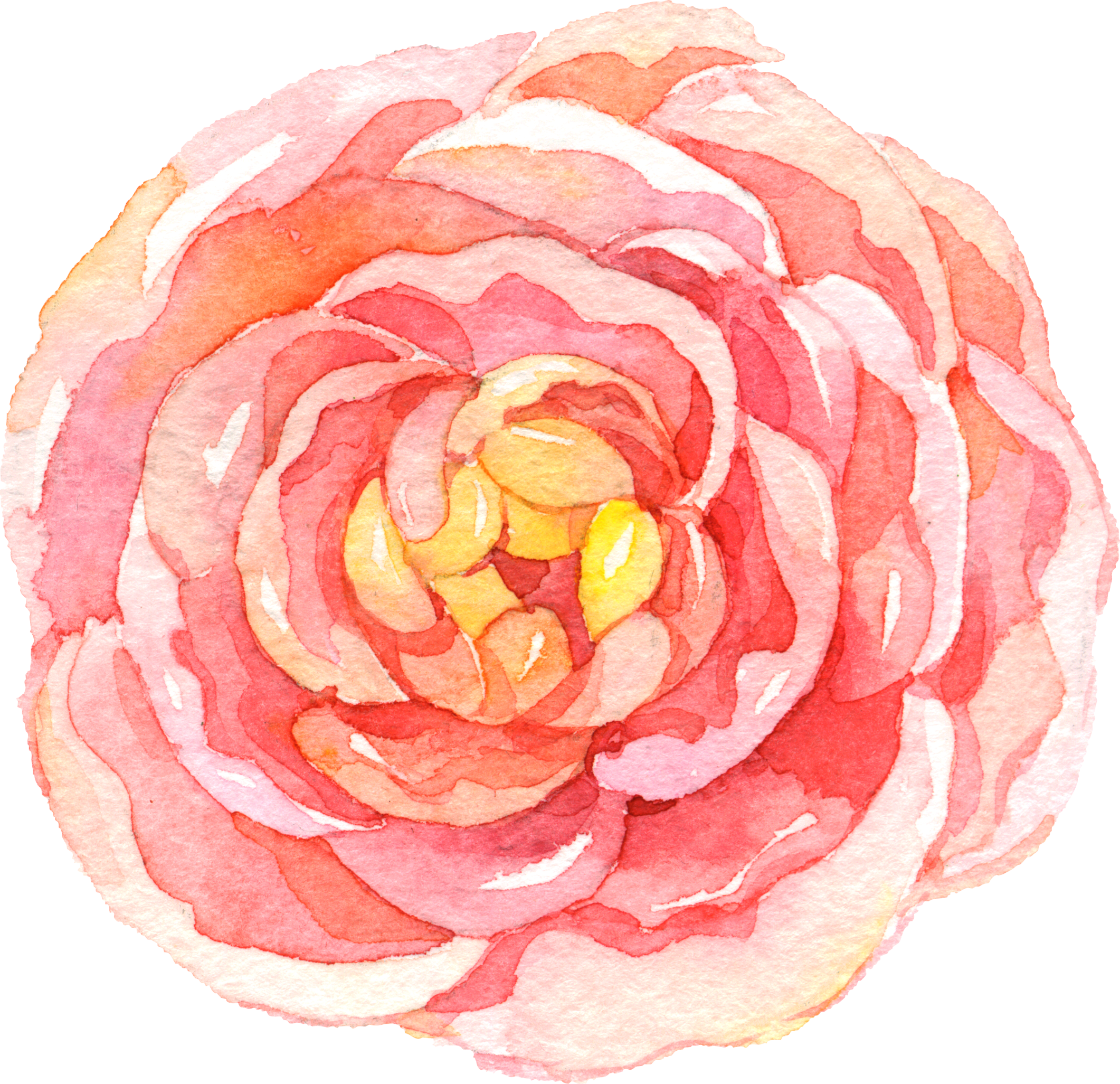 Transparent Japanese Flowers Png - Watercolor Camellia Flower Drawing, Png Download PNG with transparent background