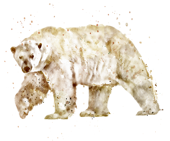 Clip Art Polar Bear Watercolor - Watercolor Bear Transparent Background, HD Png Download PNG with transparent background