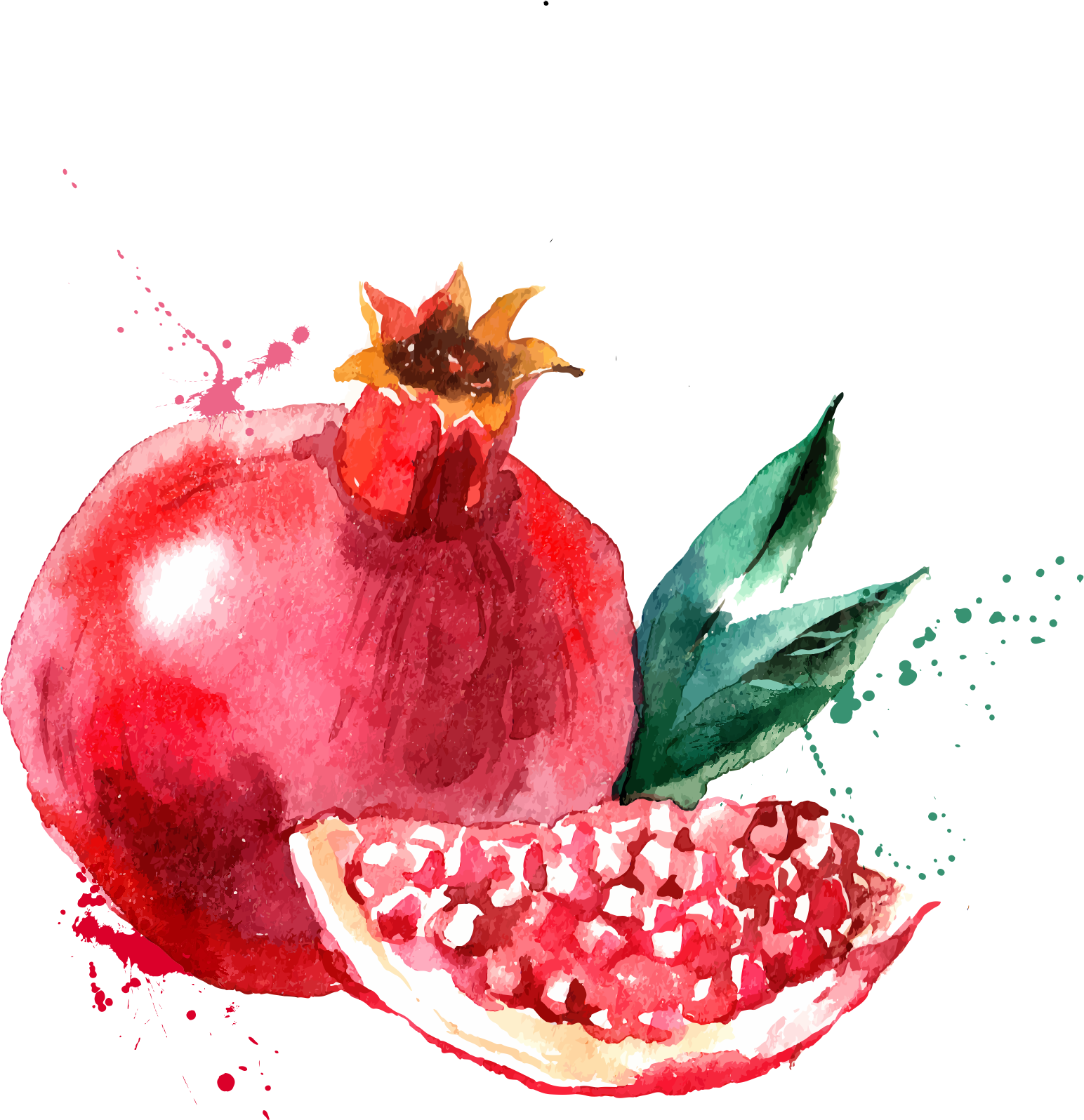 Pomegranate Watercolor Painting, HD Png Download PNG with transparent background