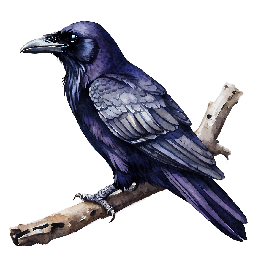 Watercolor Raven Art Png 06122024