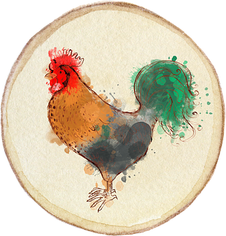 Watercolor Rooster Artwork PNG with transparent background