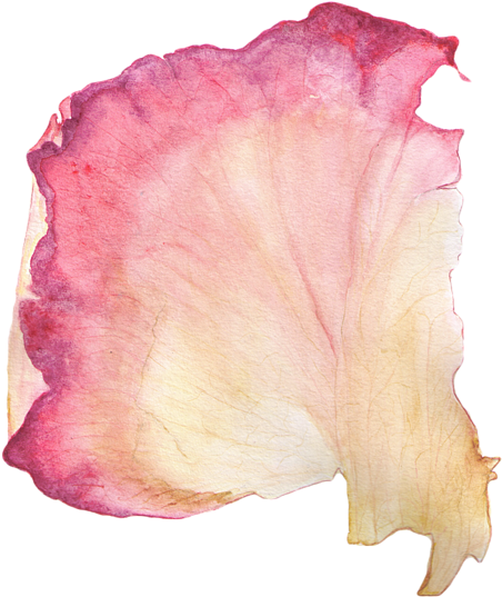 Rose Petal Painting, HD Png Download PNG with transparent background