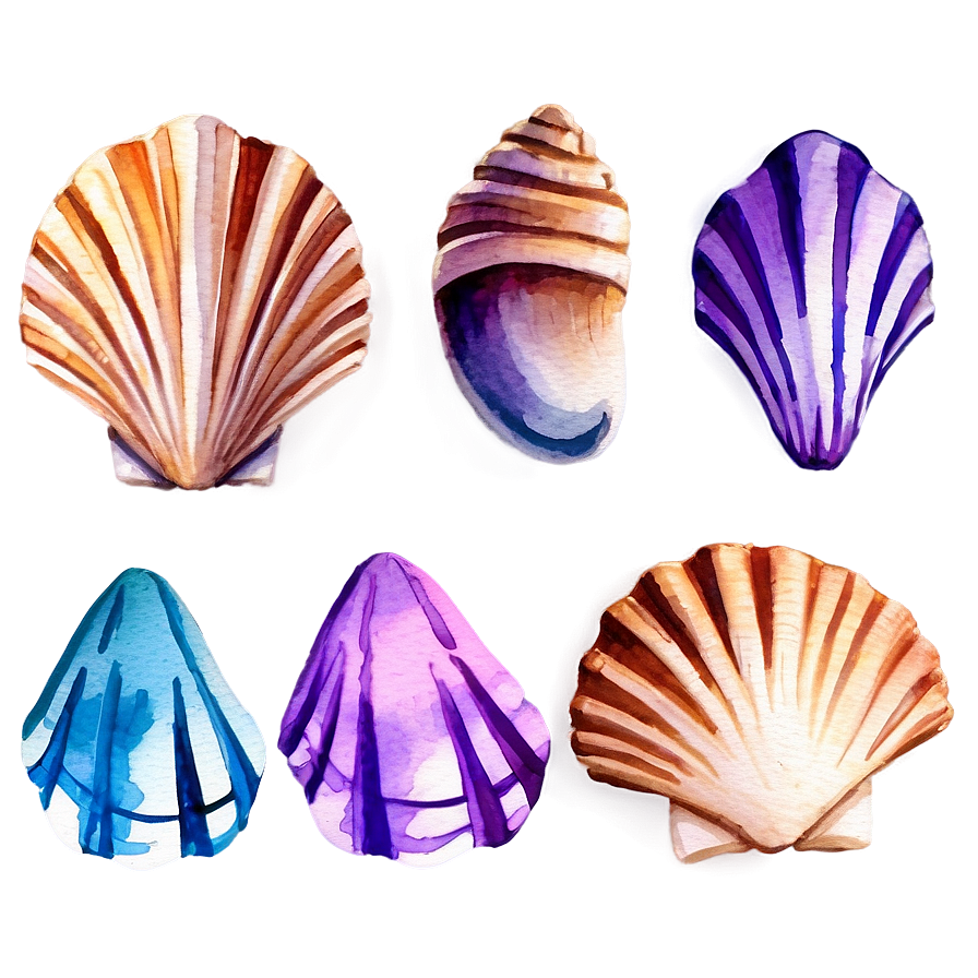 Watercolor Seashells PNG 06132024 PNG image with a transparent background, free high-resolution download