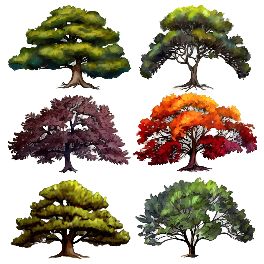 Watercolor Seasonal Trees Png Vuk5