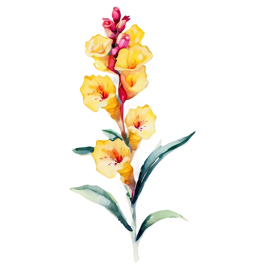 Watercolor Snapdragon Flowers Png 05252024