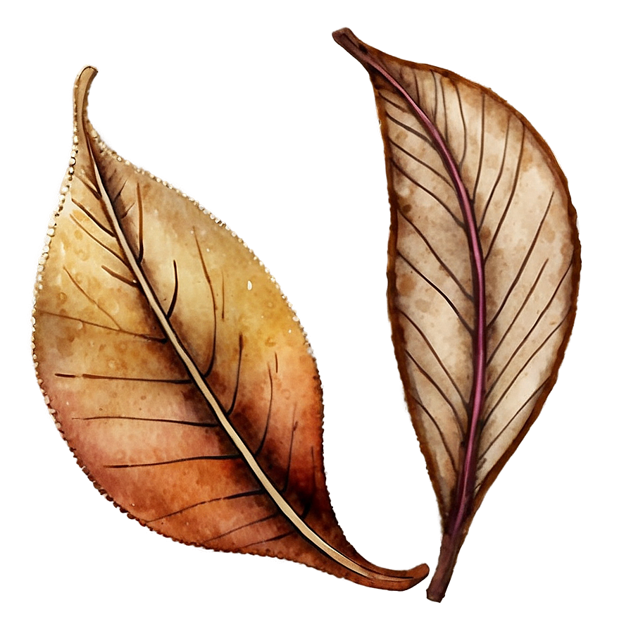 Watercolor Style Fallen Leaves Png 35