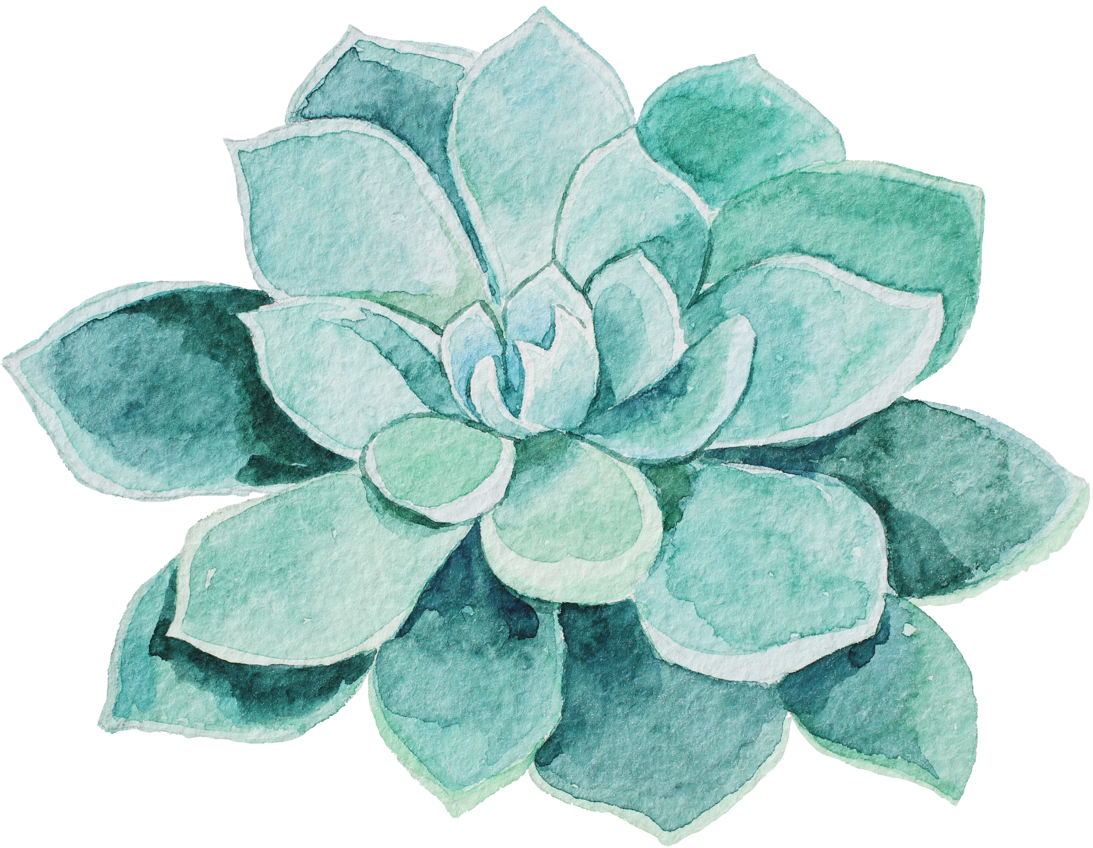 Watercolor Succulent Png - Mothers Day Massage Gift Cert, Transparent Png PNG with transparent background