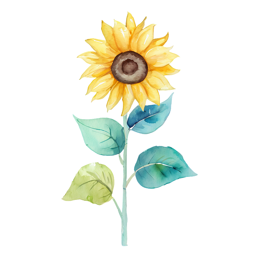 Watercolor Sunflower Artwork Design Png 81