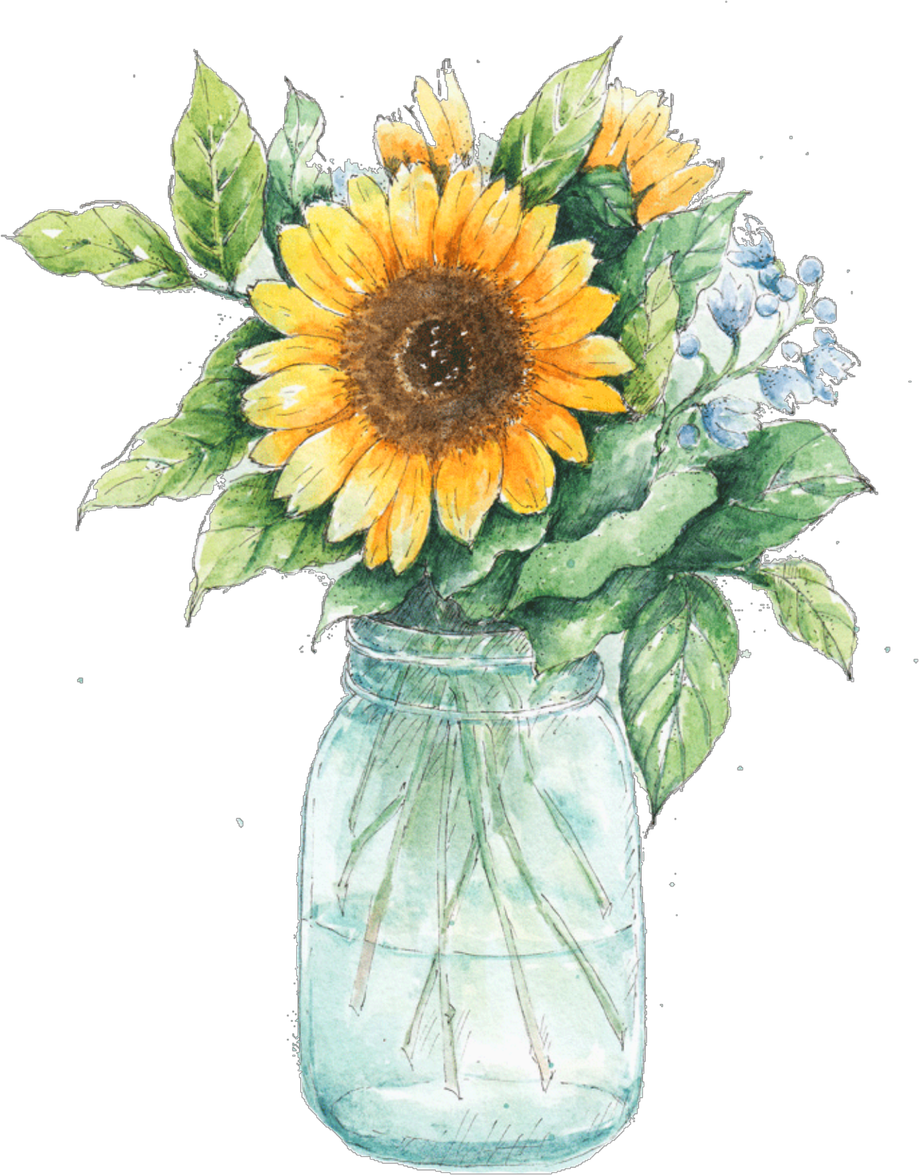 Watercolor Sunflowersin Mason Jar