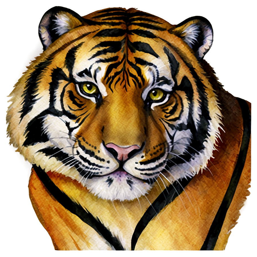 Watercolor Tiger Png Trf