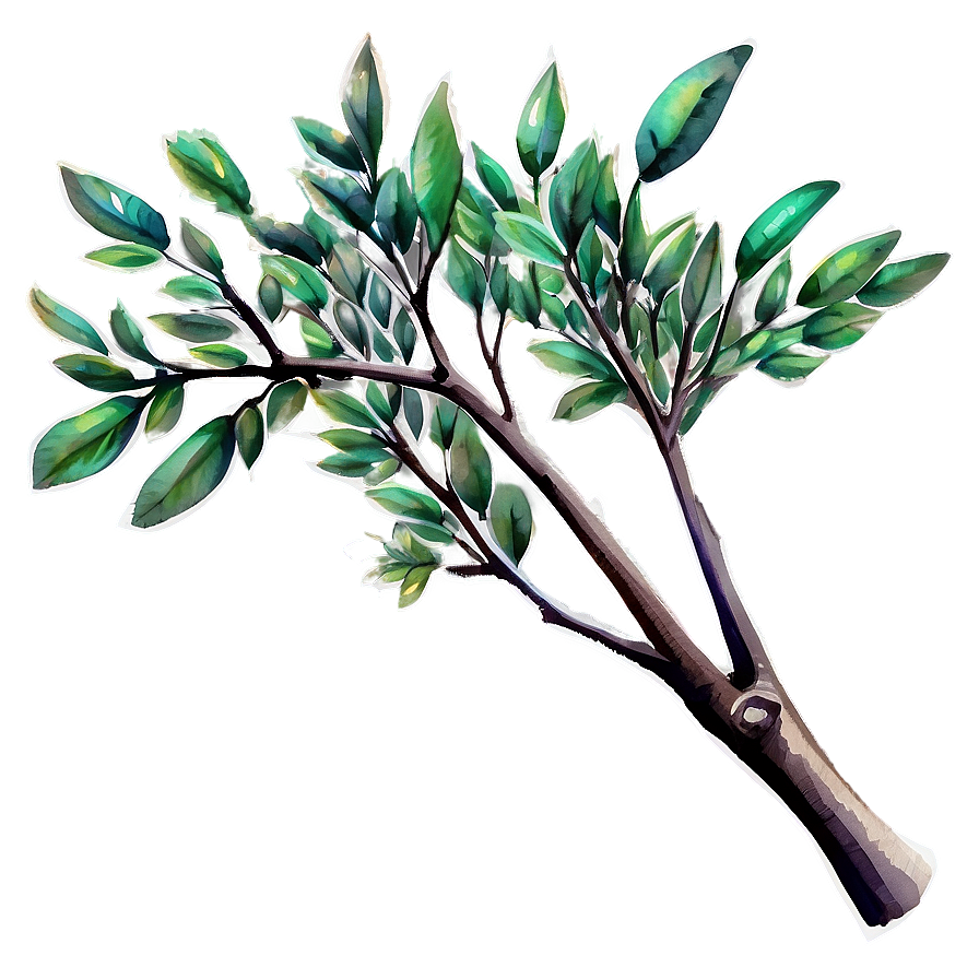 Watercolor Tree Branch Png 05252024