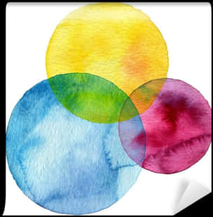 Watercolor Venn Diagram Transparent Background