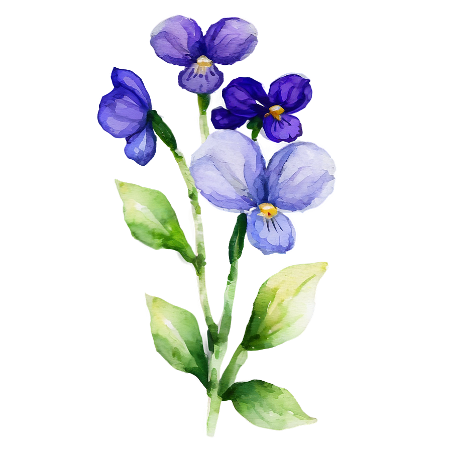 Watercolor Violet Flowers Png 05252024