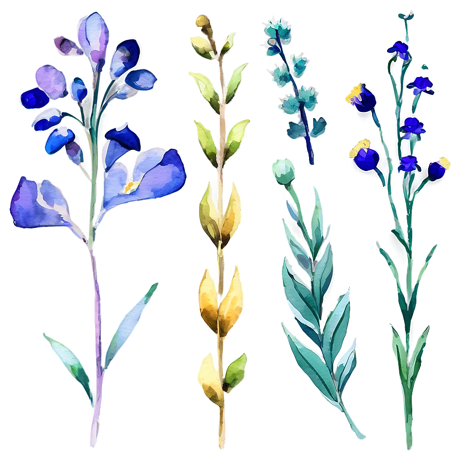 Watercolor Wildflowers Clipart Png Onu87