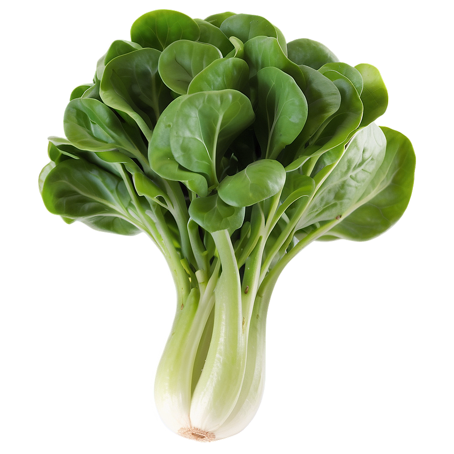 Watercress Lettuce Png Fml41