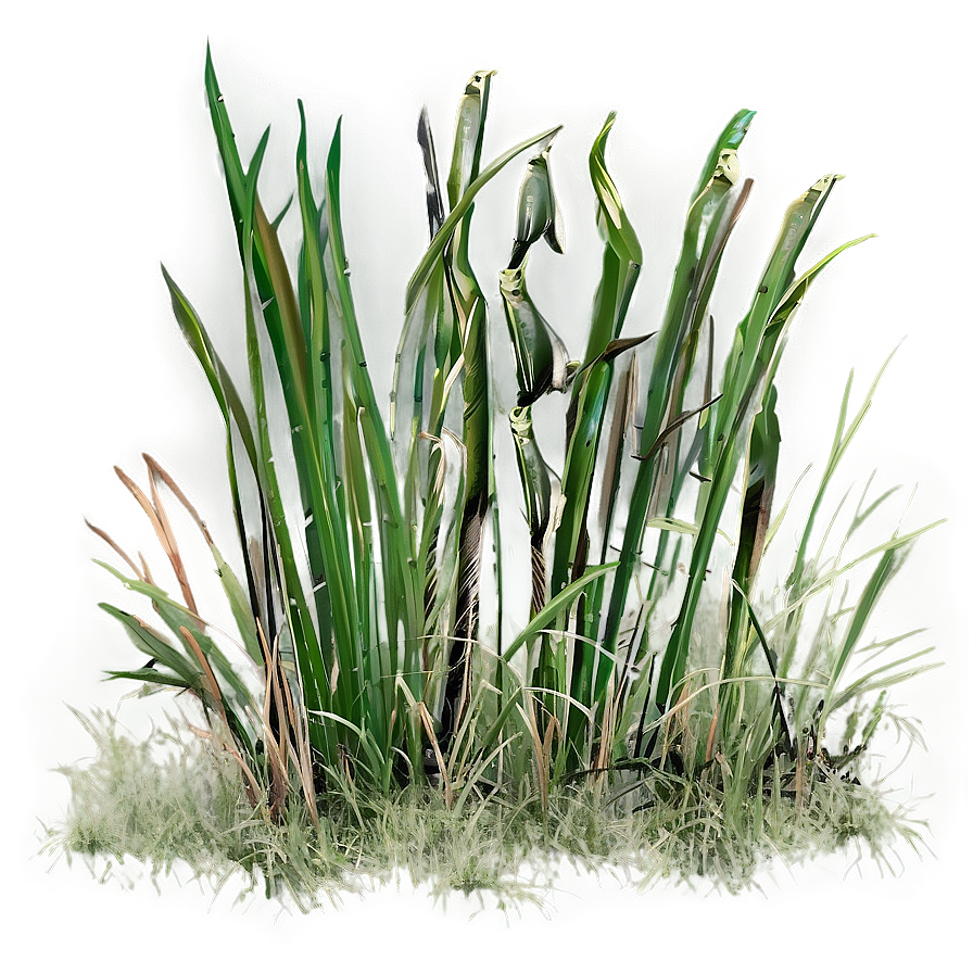 Weathered Grass Png 17