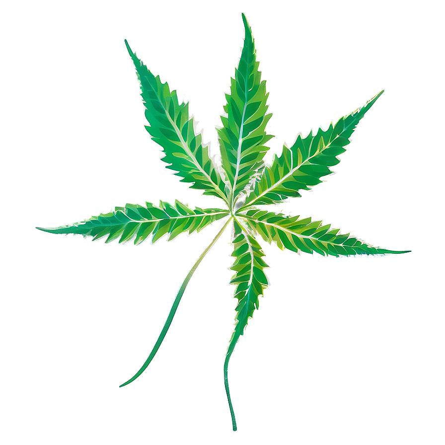 Weed Leaf PNG 05032024 PNG with transparent background