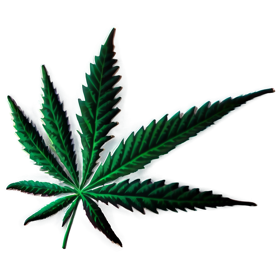 Weed Leaf PNG dnn PNG with transparent background