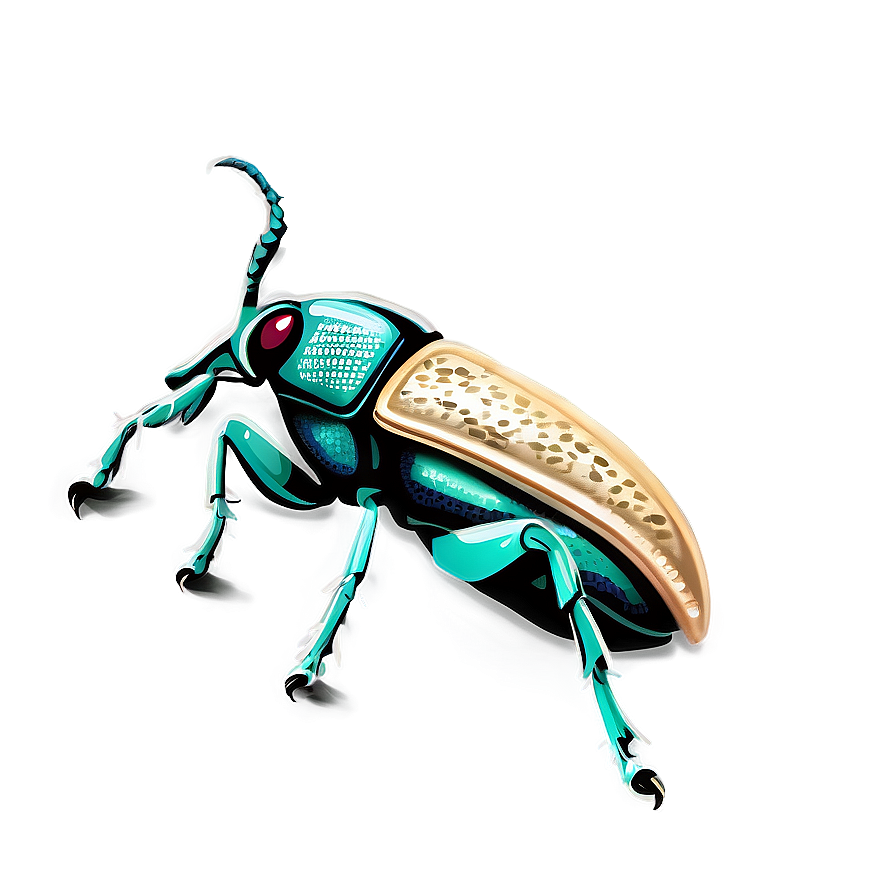 Weevil Illustration Png 06292024