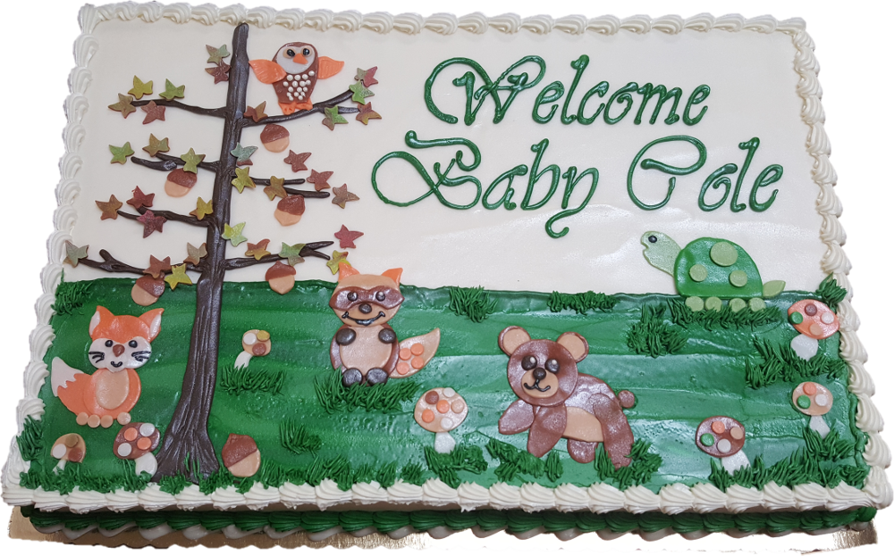 Welcome Baby Cole Decorated Cake