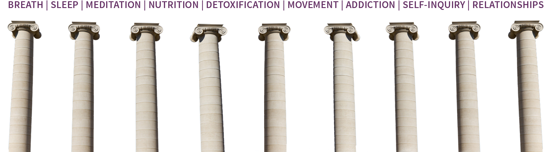 9 Pillars Of Wellness, HD Png Download PNG image with a transparent background, free high-resolution download