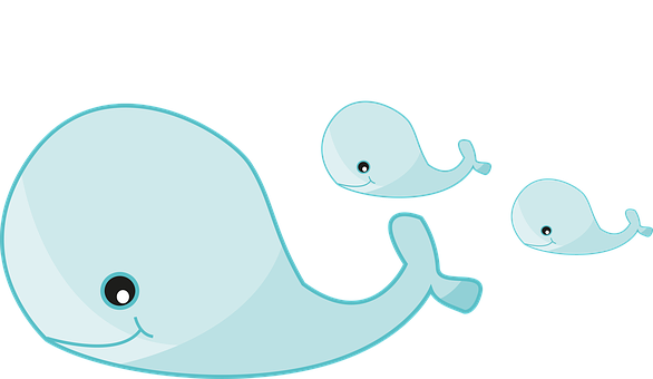 Whale Family Cartoon