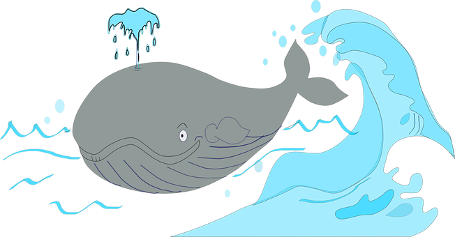 Whale_ Nighttime_ Swim_ Illustration PNG with transparent background