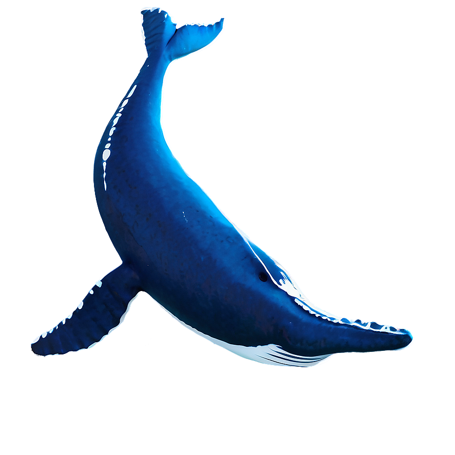 Whale Silhouette Png 63