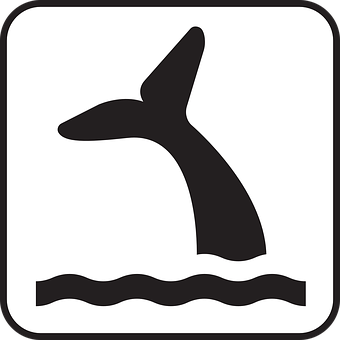 Whale Tail Icon Simple PNG with transparent background