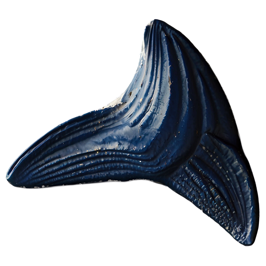 Whale Tail Png Ydi58