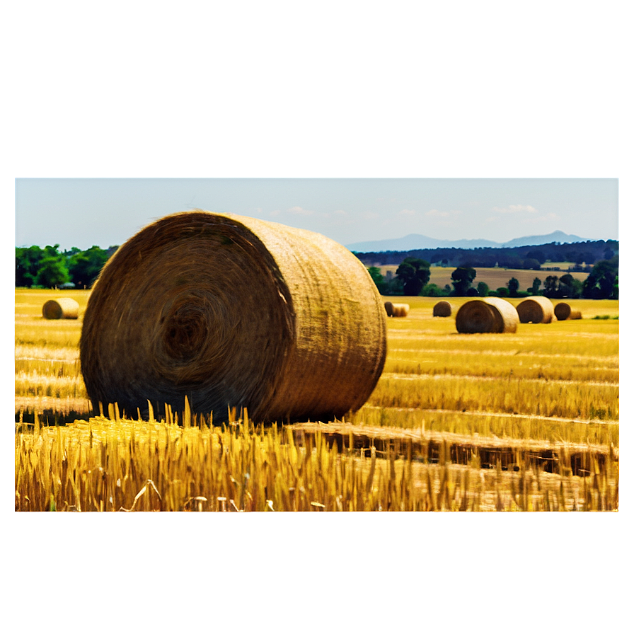 Wheat Field Bales Harvest Png Spo69