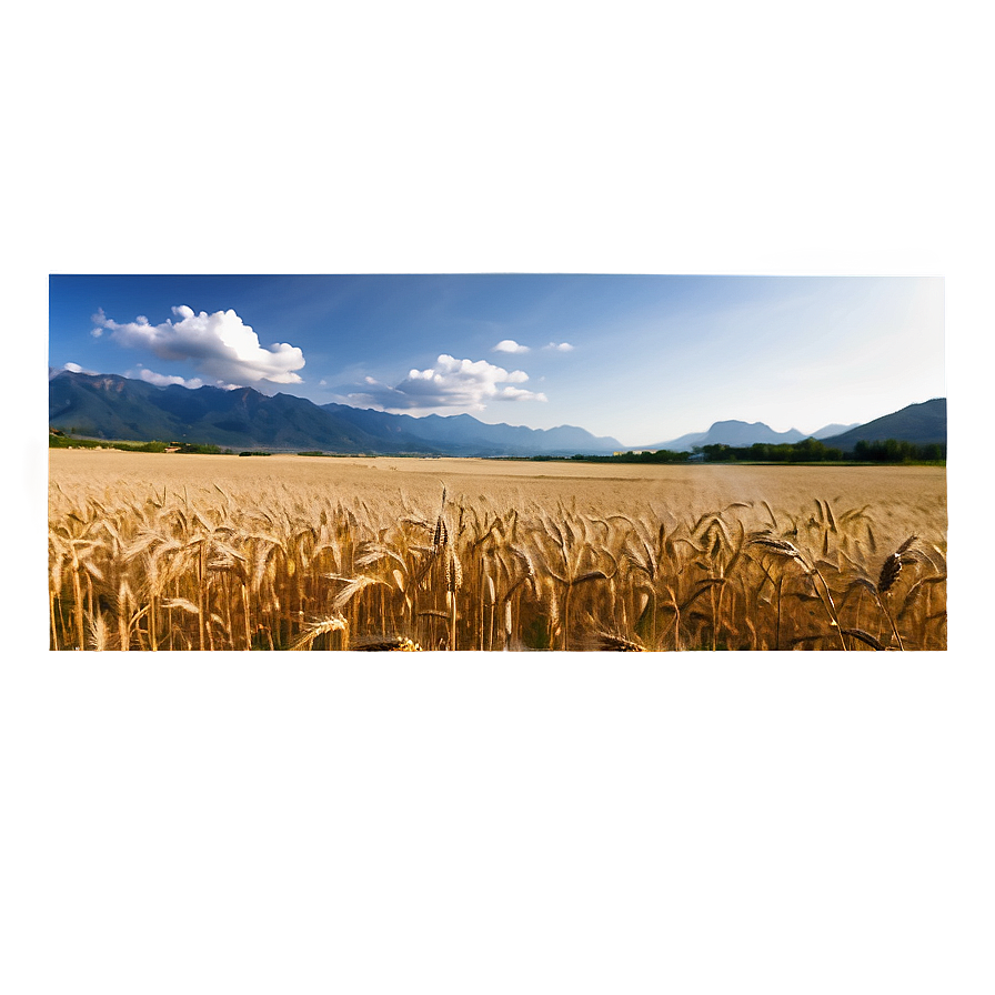 Wheat Field With Mountains Background Png 06252024