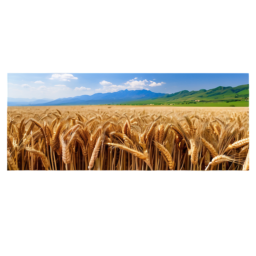 Wheat Field With Mountains Background Png 06252024