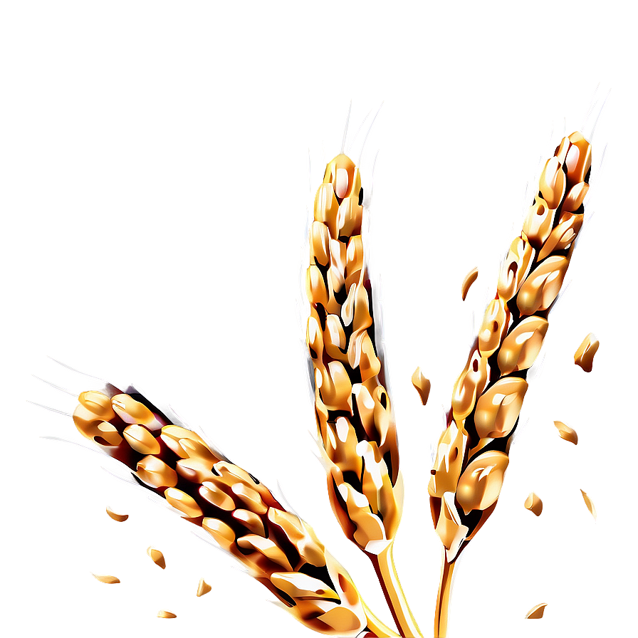 Wheat Grain Close-up Png 53