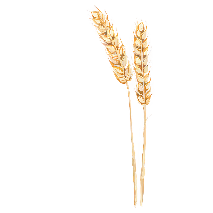 Wheat In A Gentle Breeze Png Dan