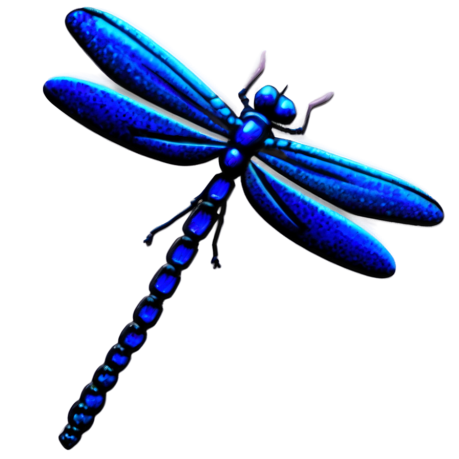 Whimsical Dragonfly Png 05212024