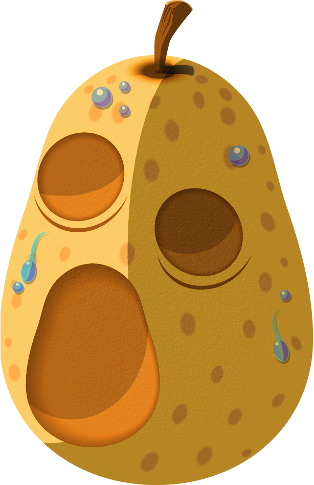 Tww Hyoi Pear Artwork - Hyoi Pear, HD Png Download PNG with transparent background