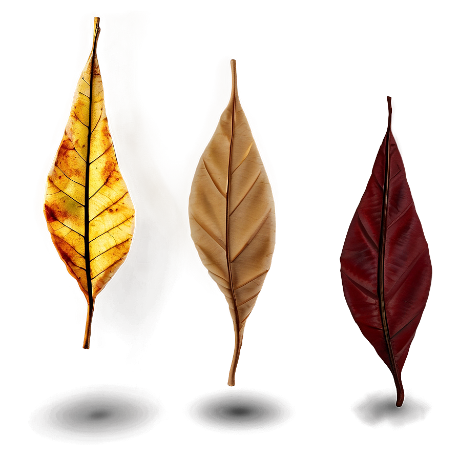 Whirling Autumn Leaves Png 20