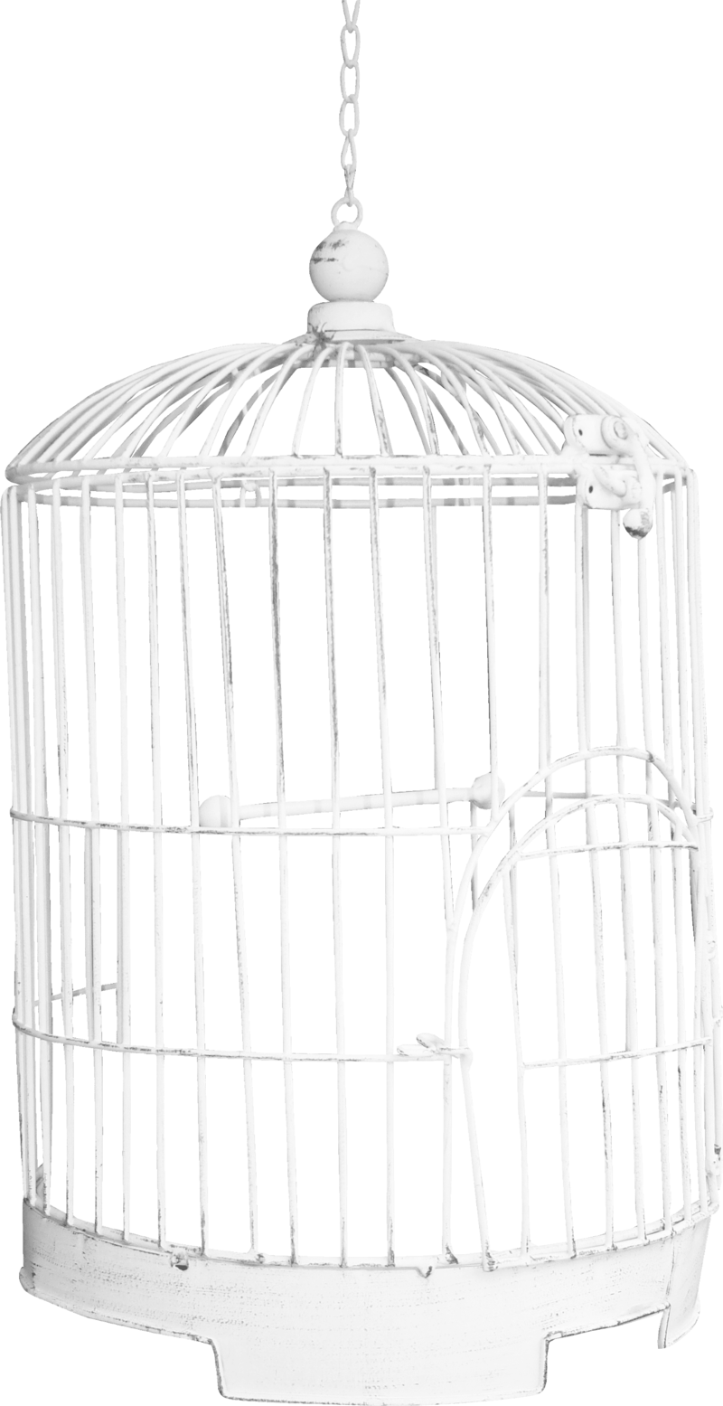 Bird-cage - White Png Cage, Transparent Png PNG with transparent background