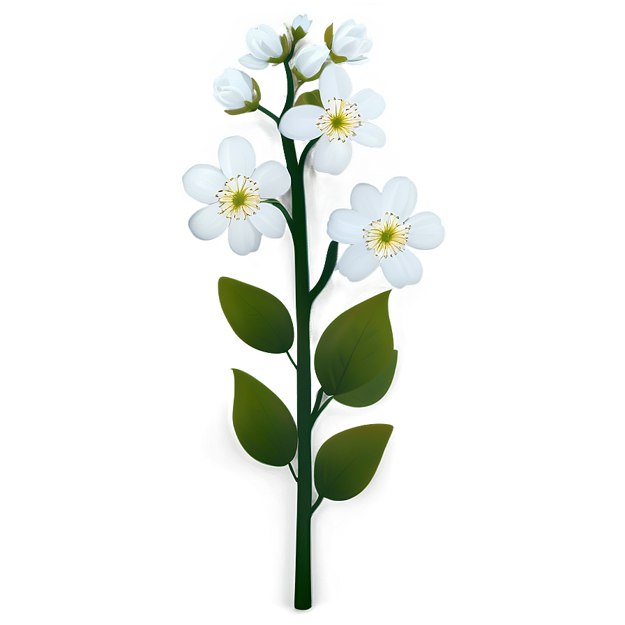 White Blossom Flower PNG jux PNG with transparent background